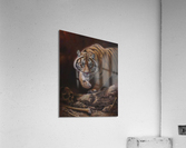 A path of wrath Acrylic Print