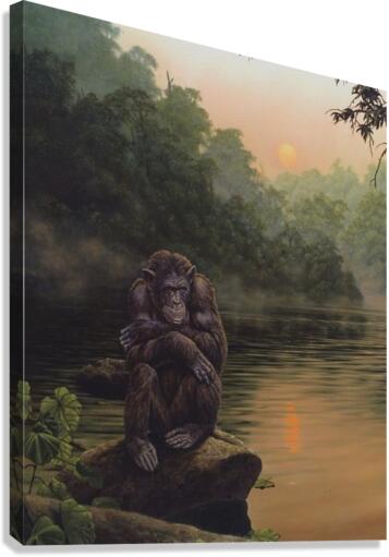 cold in sorrows Canvas Print