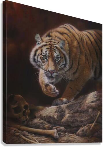 A path of wrath Canvas Print
