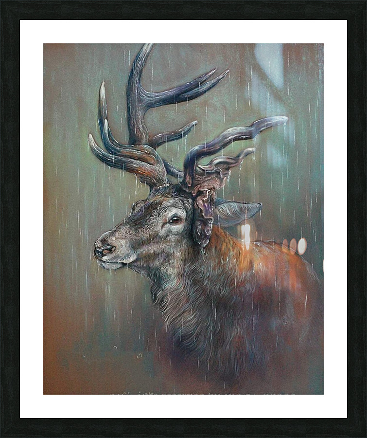 timid in rigid Picture Frame print