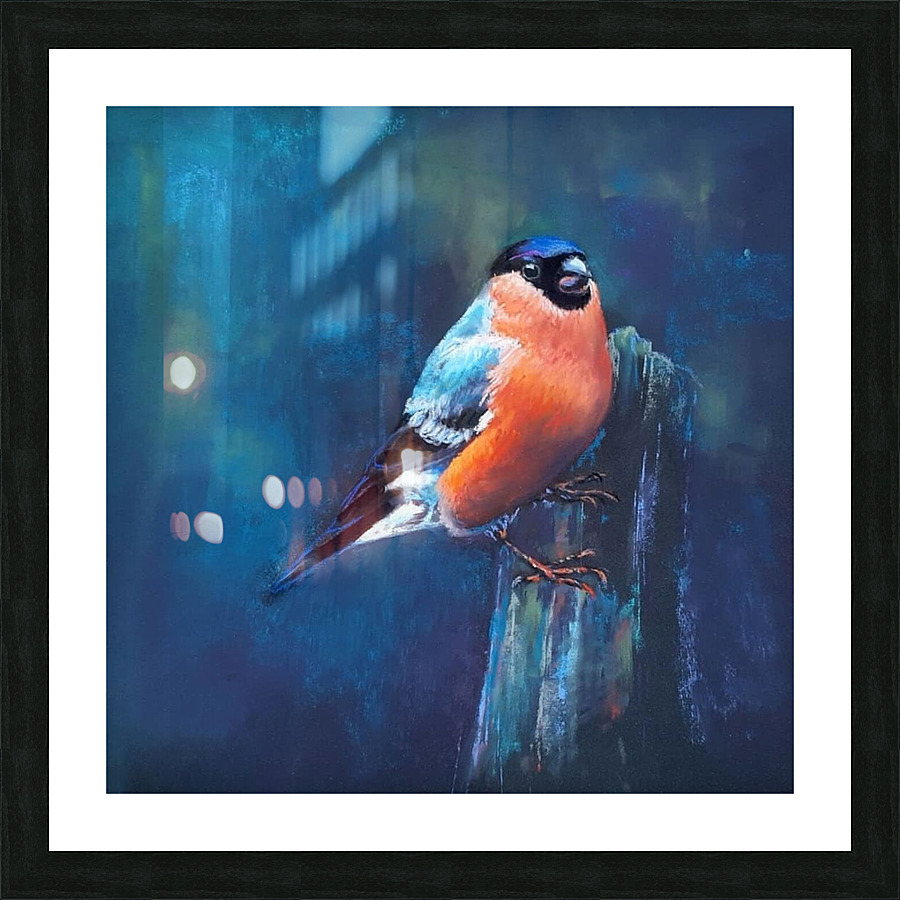 not full in pull Picture Frame print