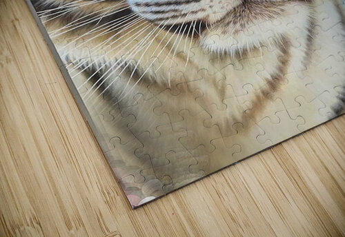 brows of grows WATTY puzzle