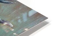 timid in rigid HD Metal print