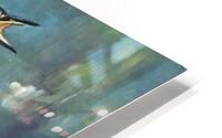 pearl in elegance HD Metal print