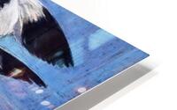scale off by wing. HD Metal print
