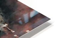 Trailing rail HD Metal print