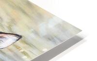 faze in gaze HD Metal print