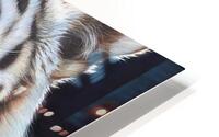 brows of grows HD Metal print