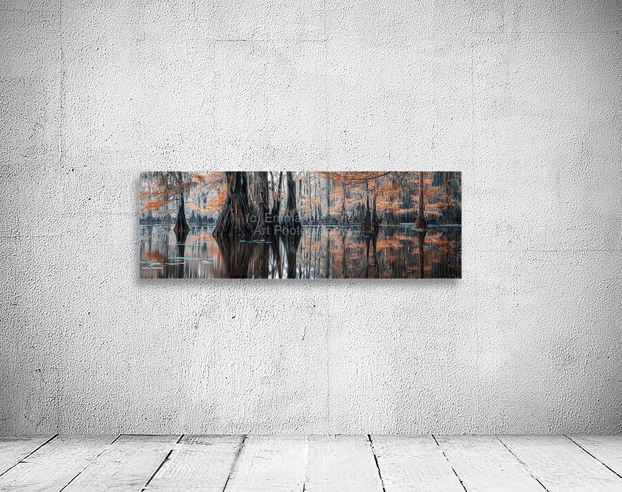 Enchanted Cypress Oasis Wall Preview