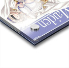 goblin slayer Acrylic print