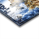 Iron Maiden Acrylic print