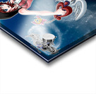 kingdom hearts Acrylic print