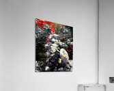 goblin slayer Acrylic Print
