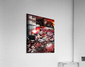 goblin slayer Acrylic Print