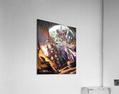 goblin slayer Acrylic Print