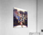kingdom hearts Acrylic Print