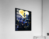 kingdom hearts Acrylic Print