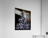 kingdom hearts Acrylic Print