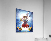 kingdom hearts Acrylic Print