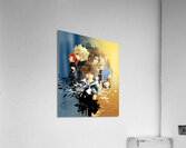 kingdom hearts Acrylic Print
