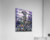 kingdom hearts Acrylic Print
