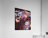 kingdom hearts Acrylic Print