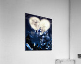 kingdom hearts Acrylic Print