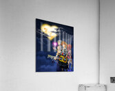 kingdom hearts Acrylic Print