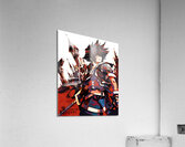 kingdom hearts Acrylic Print