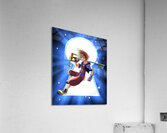 kingdom hearts Acrylic Print
