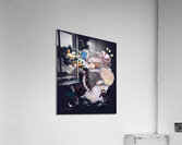 kingdom hearts Acrylic Print