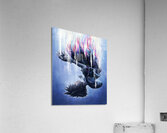 kingdom hearts Acrylic Print