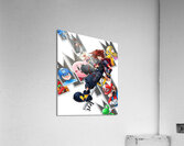 kingdom hearts Acrylic Print