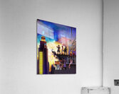 kingdom hearts Acrylic Print