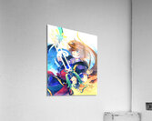 kingdom hearts Acrylic Print