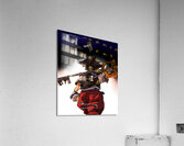 kingdom hearts Acrylic Print
