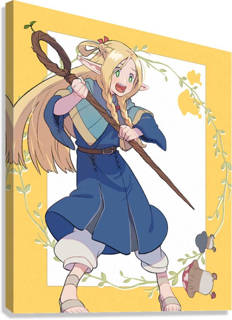 Dungeon Meshi Canvas Print