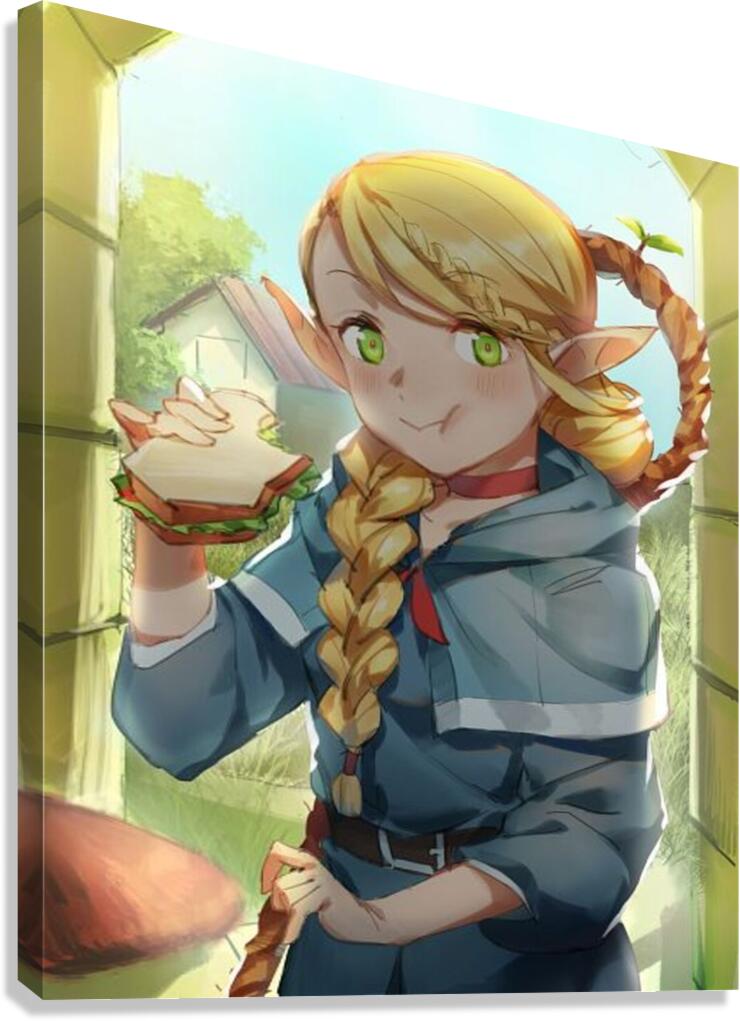 Dungeon Meshi Canvas Print
