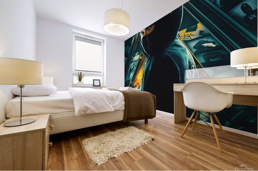 Alan Walker Mural print