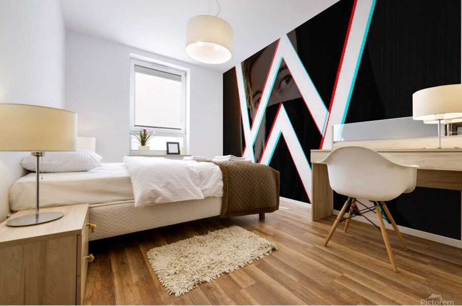 Alan Walker Mural print