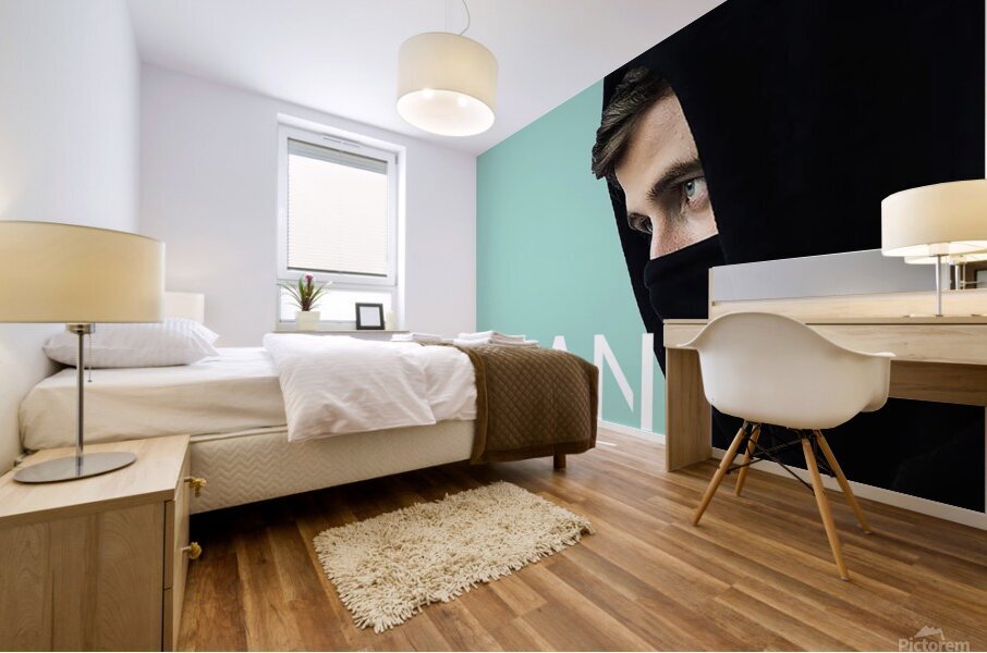 Alan Walker Mural print