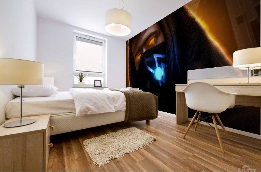 Alan Walker Mural print