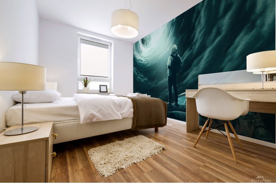 Alan Walker Mural print