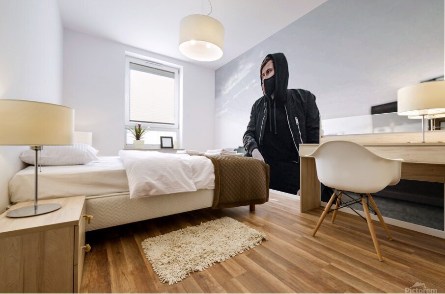 Alan Walker Mural print