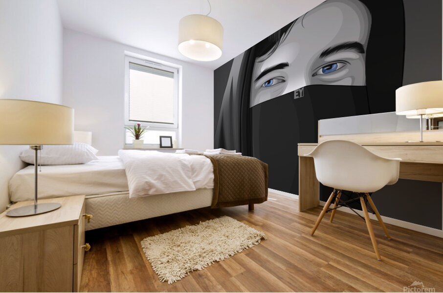 Alan Walker Mural print