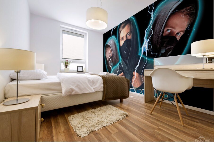 Alan Walker Mural print