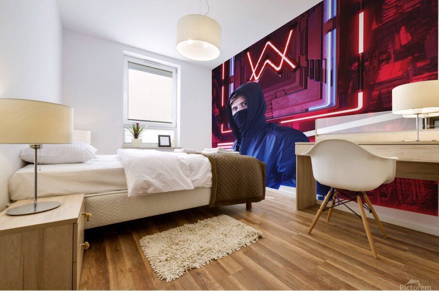 Alan Walker Mural print