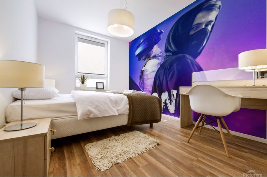 Alan Walker Mural print