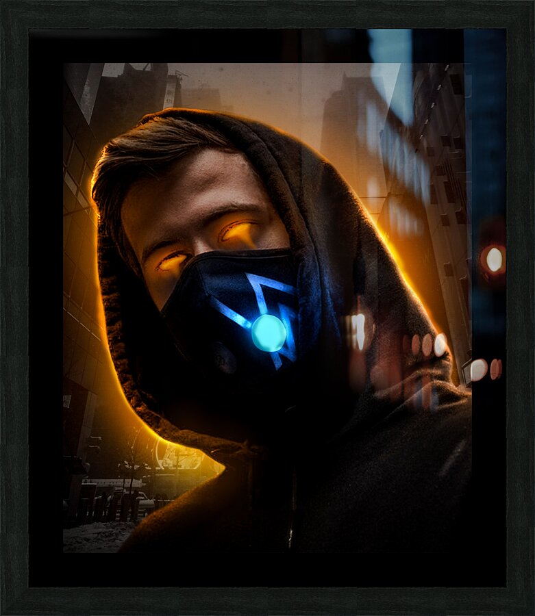 Alan Walker Picture Frame print