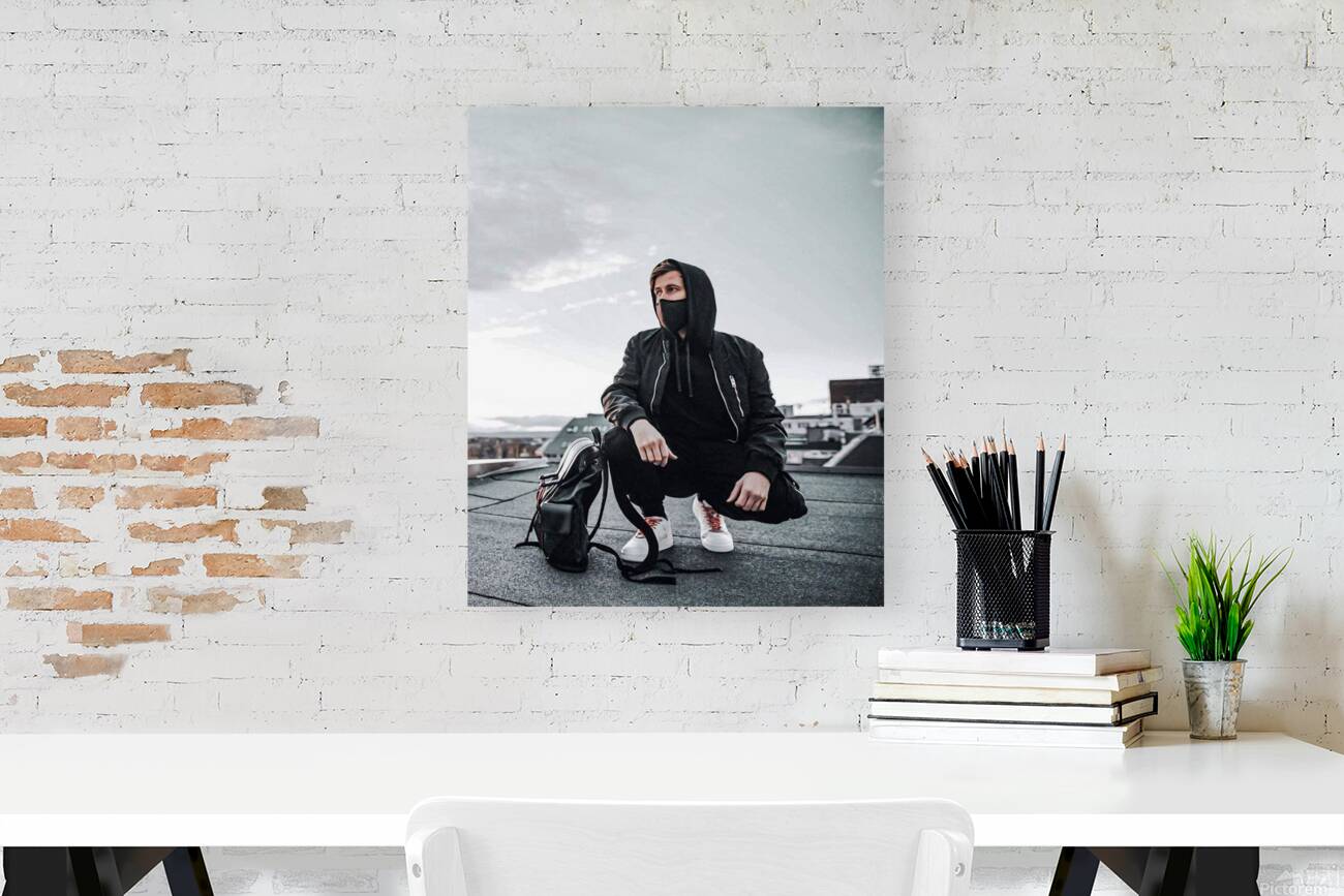 Alan Walker Reproduction